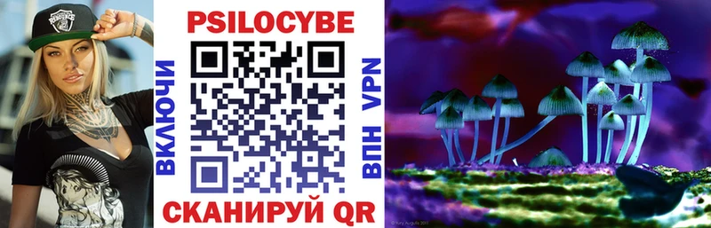 Псилоцибиновые грибы MAGIC MUSHROOMS  цена наркотик  Ряжск 